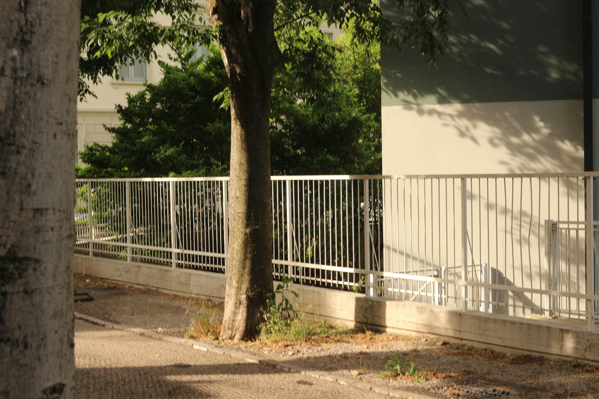 Macherio Social Housing Photo