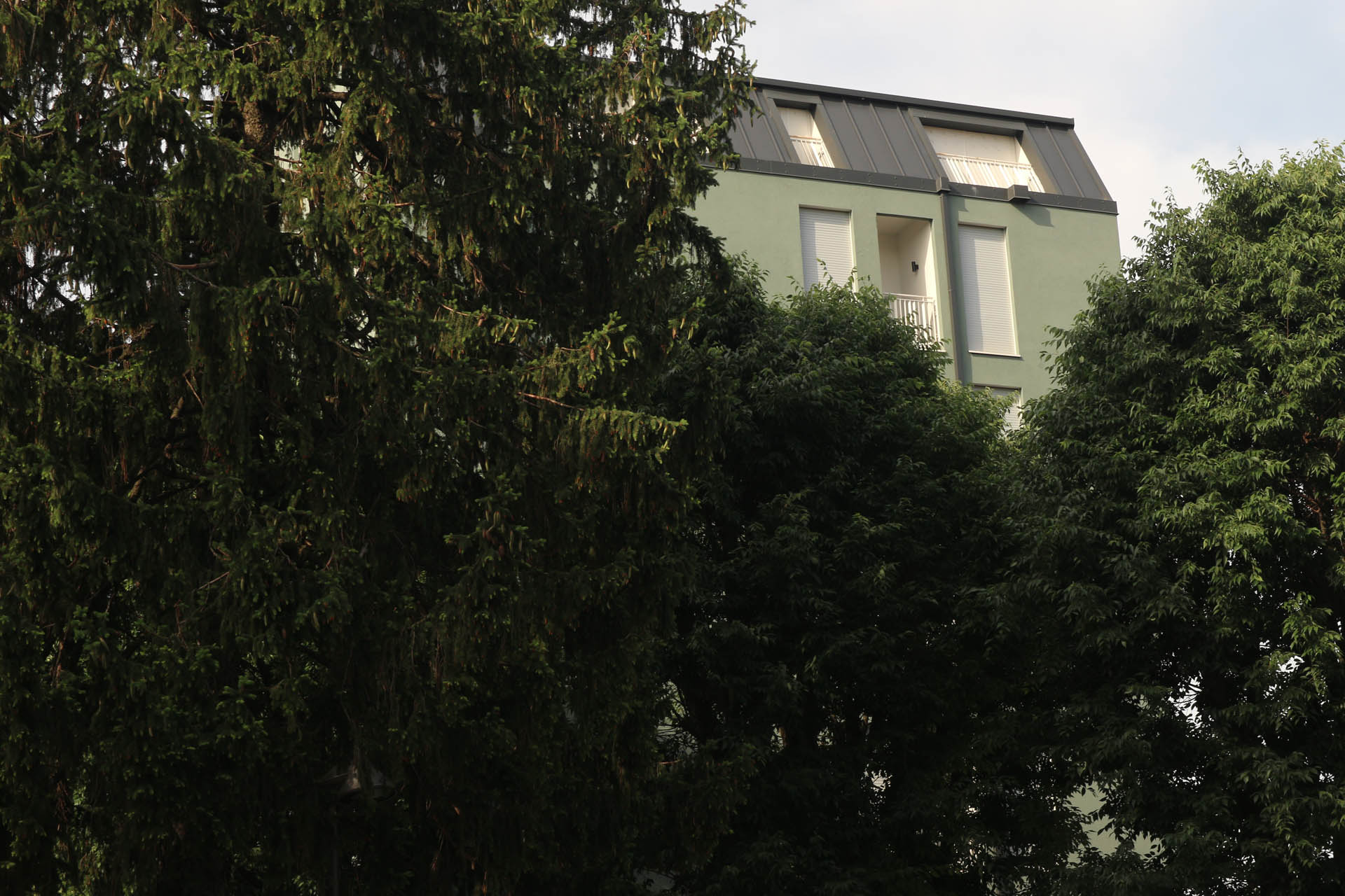 Macherio Social Housing Photo