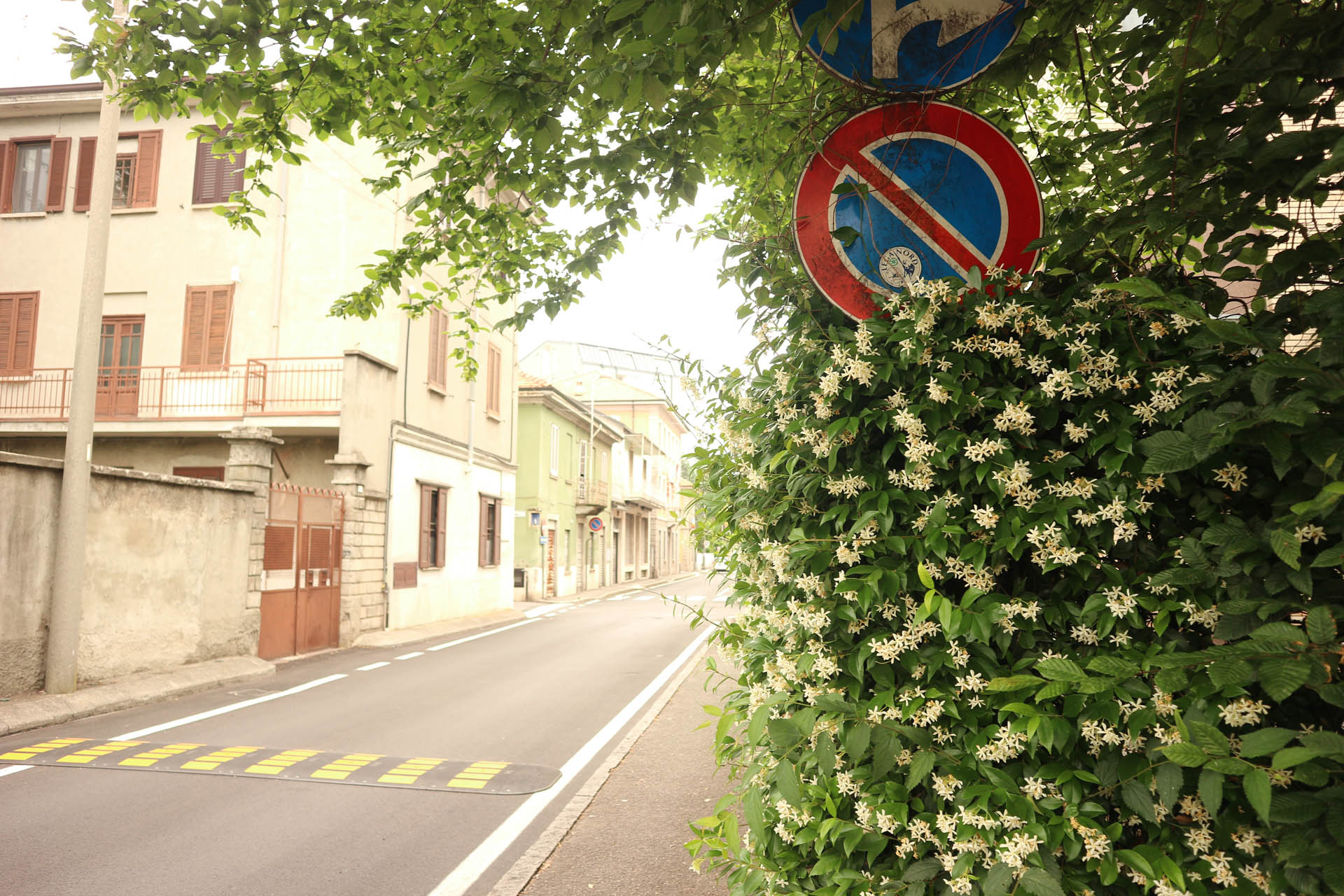 Macherio Social Housing Photo