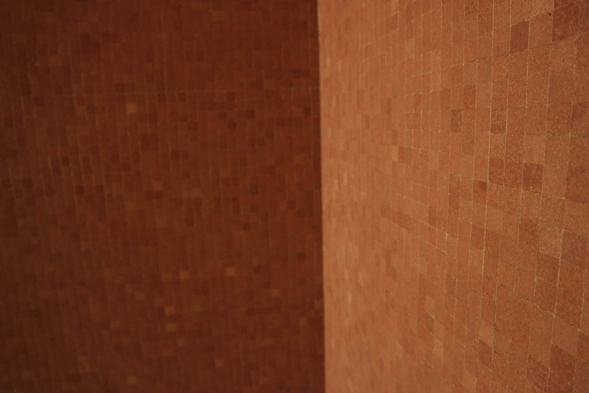 Macherio Social Housing Photo