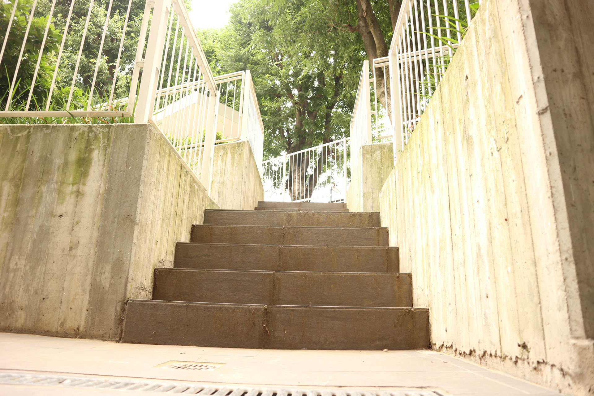 Macherio Social Housing Photo